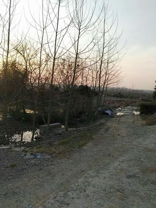 龙潭村水毁工程拆迁纪实 重建家园的步伐